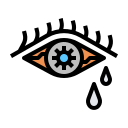 ojo icon