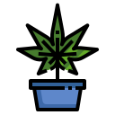 maceta icon