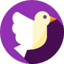 Dove 