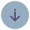 flecha icon