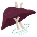 hepatólogo 