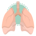 médico 
