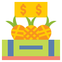 fruta icon