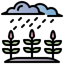 naturaleza icon