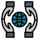 Network 