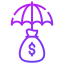 dinero icon