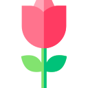 rosa icon