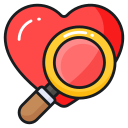 Search 