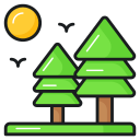 Nature 