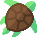 tortuga