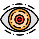 ojo icon