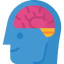 cerebro icon