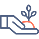 Sprout icon