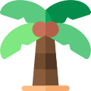 palmera icon