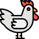 pollo icon