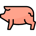 cerdo icon