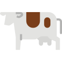 vaca