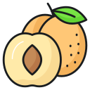 fruta icon