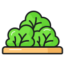 naturaleza icon