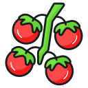 fruta icon