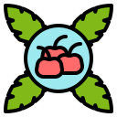 fruta icon