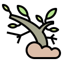 naturaleza icon