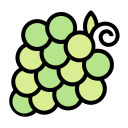 fruta icon