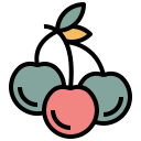 fruta icon