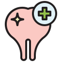 zahn icon