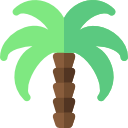 palmera