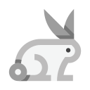 animal icon