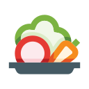 saludable icon