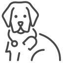 hund 