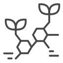 biomoléculas 