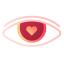 ojo icon