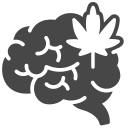 Brain icon