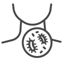 Virus 