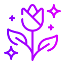 rosa icon