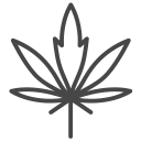 feuille 