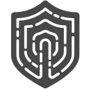 seguridad icon