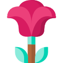 rosa icon