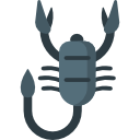 skorpion 