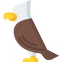 Águila