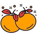 mandarina icon