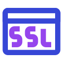 ssl icon