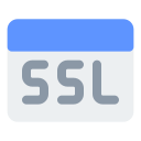 ssl icon