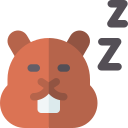 marmota icon