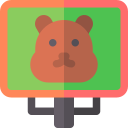 dia de la marmota icon