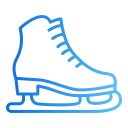 patinaje sobre hielo icon