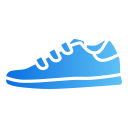 zapatos icon